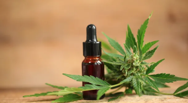 Cannabis in Georgia